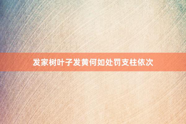 发家树叶子发黄何如处罚支柱依次