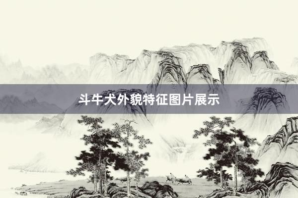 斗牛犬外貌特征图片展示